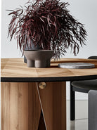 Manto — Gallotti & Radice (9)
