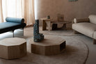Selce-T — Gallotti & Radice (15)