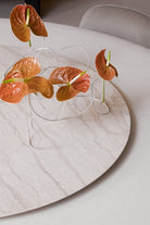 Selce-T — Gallotti & Radice (5)