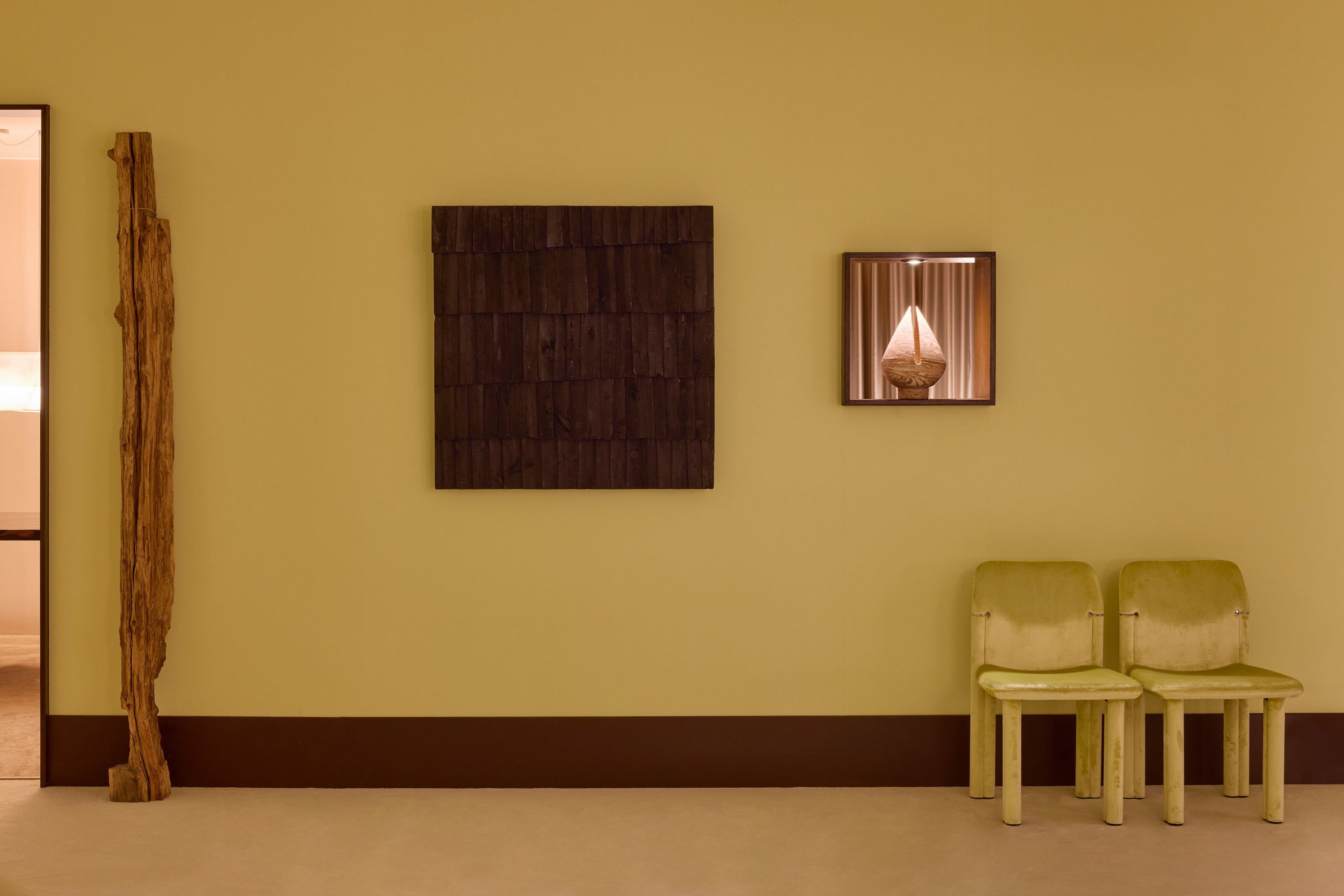 Sempronia — Tacchini